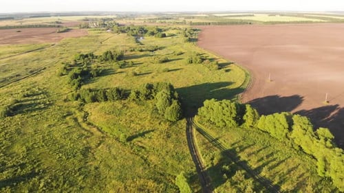 Aerial View of Rural Landscape with Green Fields
