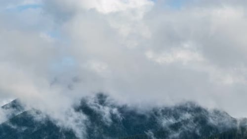 Mystic Clouds over Alpine Forest Mountains