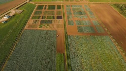 Aerial View of Farmland