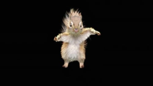 76 Chipmunk: Tanzen HD