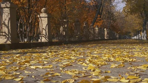 Herbstpark