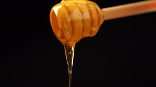 Golden Honey Dripping From Honey Dipper on Black