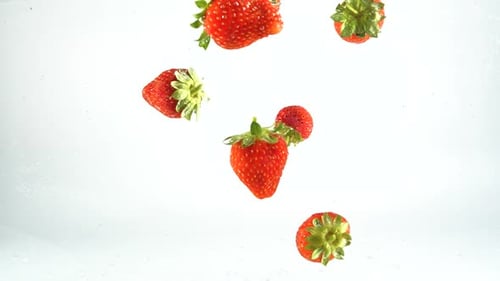 Strawberries 07