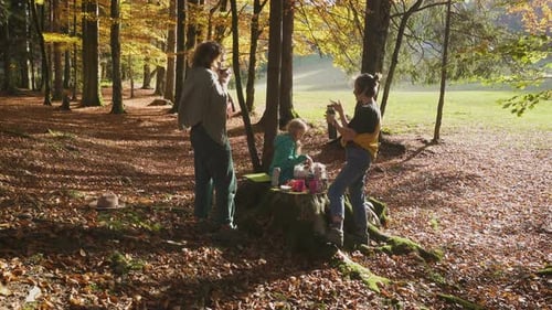 Autumn Forest Picnic
