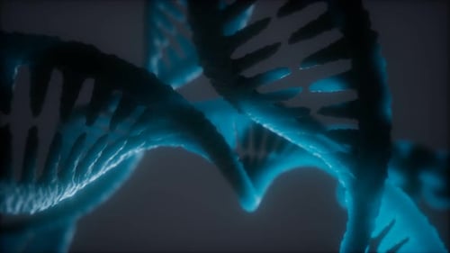 Loop Double Helical Structure of Dna Strand Close-up Animation