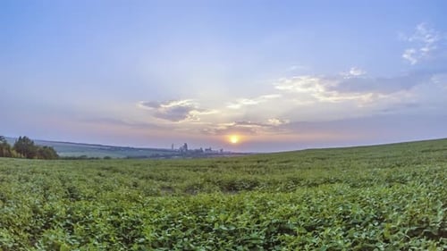 Sunset over Green Field