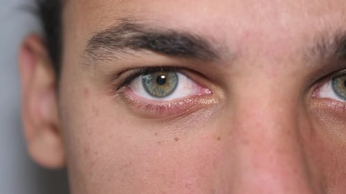 Male eye close-up. A portrait of a man looking at the camera blinks his eyes.