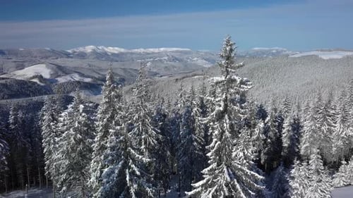 Flying Over the Forest and Mountains in Winter