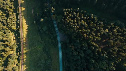 Car Moving on Road Through Pine Tree Forest Aerial View