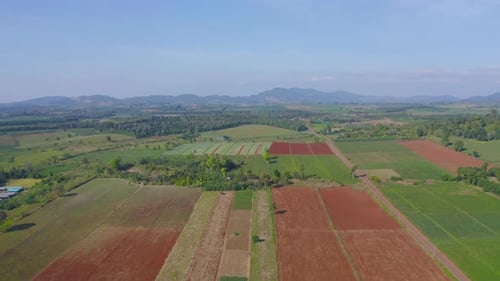 Aerial top view of fresh grass, rice and crops field with green mountain hill in agriculture