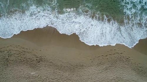 Surfers with Boards Go Along the Sandy Beach Aerial View