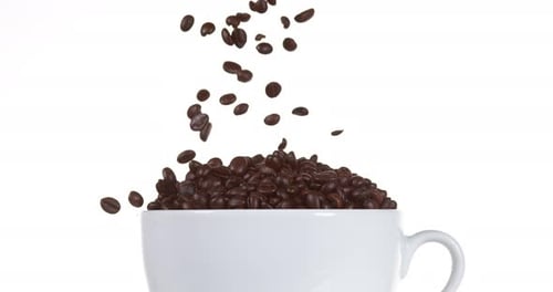 Coffee Beans Pouring into a White Coffee Cup