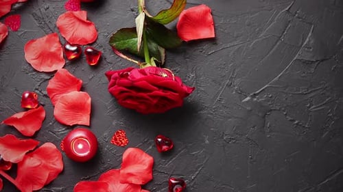 Valentine's Rose, Petals, and Candles Rotating