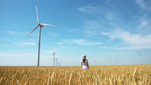 Красивая девушка на желтом поле пшеницы с ветряными мельницами для производства электроэнергии