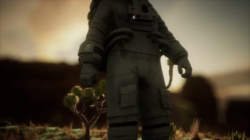 Astronauth in the High Desert of Nevada