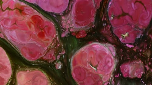 Abstract Fluid Blooms in Pink, Red, and Green