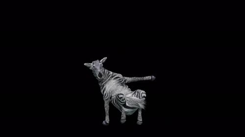 Funny 3D Animated Zebra Doing a Quirky Dance Loop