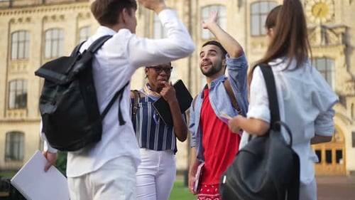 Multiethnic Groupmates Gesturing Highfive Smiling Talking in Slow Motion