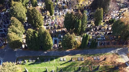 Survol Drone d'un vieux cimetière avec des pierres tombales, des pierres tombales et des flèches