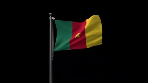 Cameroon National Flag Waving Realistic Animation