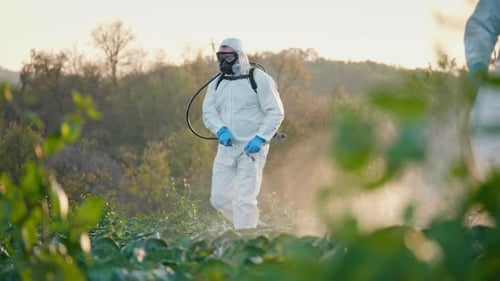 Pest Control Service