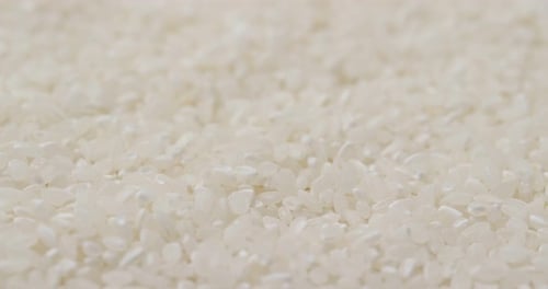 Rice dried and uncooked