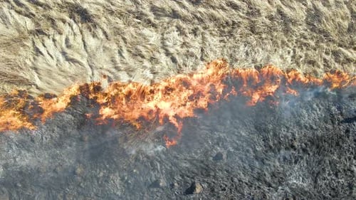 Aerial View of Grassland Field Burning with Red Fire During Dry Season