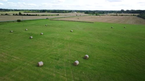 Aerial view hay bales in the green agriculture field, bailed hay drying on ranch land, the straw is