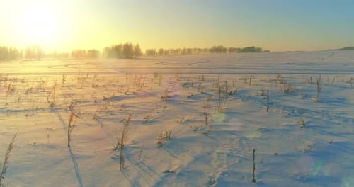 Aerial Drone View of Cold Winter Landscape with Arctic Field Trees Covered with Frost Snow and