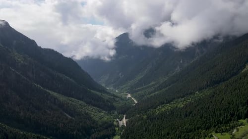 Forests And Valley