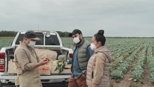 Farmer Demonstrating Vegetables To Buyers