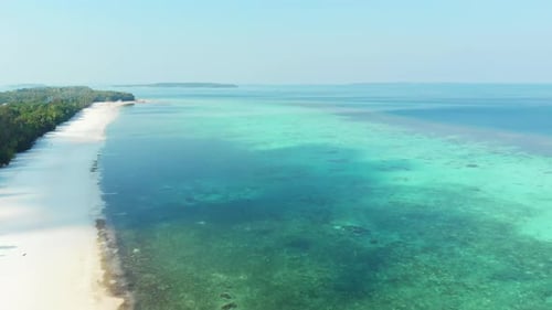 Aerial drone: uncontaminated coastline tropical beach caribbean sea coral reef palm tree woodland
