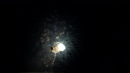 Brilliant Fireworks Exploding at Night Celebration