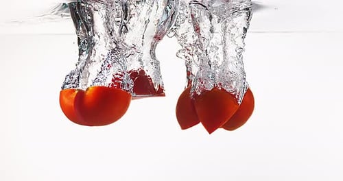 Red Tomatoes, solanum lycopersicum, Fruits falling into Water against White Background, Slow Motion