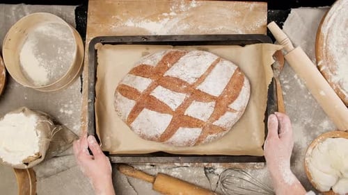 Fresh Baked Bread Loaf Overhead View