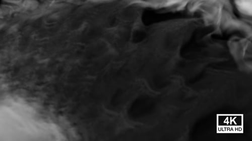 Dynamic Smoke Fog Fluid Reveal Transition