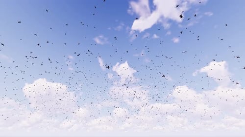 Flock of Birds Flying in Blue Sky with Clouds