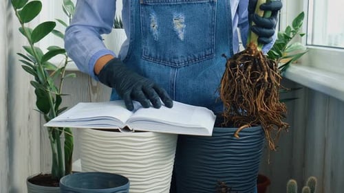 Person Gardening with Plant Root and Gardening Book