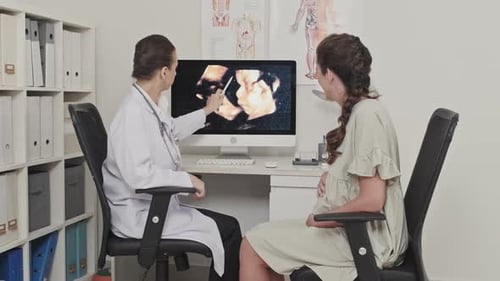 Doctor Explaining Ultrasound Scan to Pregnant Woman