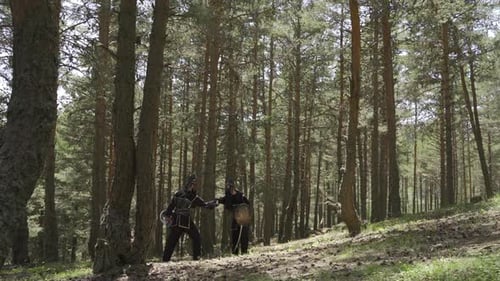 Armoured Figures Sword Fight in a Sunny Forest
