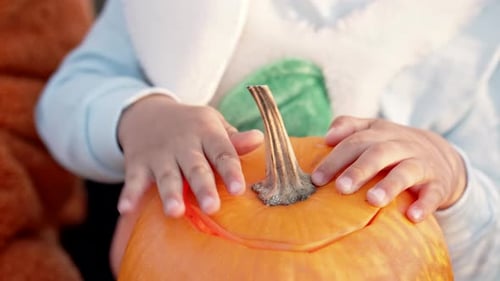 Child Knocks with His Hand on Carved Pumpkin