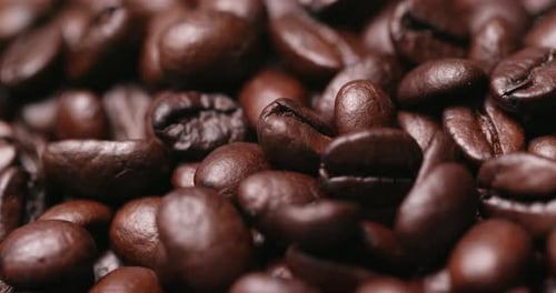 Roasted Coffee Beans Macro Detail Shot