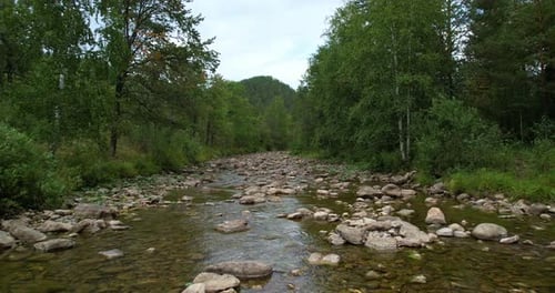 Stony River