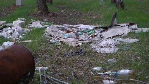 Footage Forest Pollution. Dump Garbage in Woods