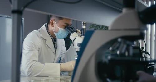 Wissenschaftler untersuchen Proben im Mikroskop