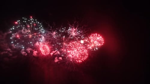 Langfristige, nahtlose Schleife mit echtem abstraktem, farbenfrohem Feuerwerksfestival auf schwarzem Hintergrund