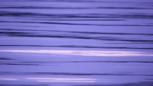 Petites vagues d'eau au coucher du soleil dans le lac