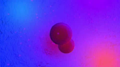 Fluid Organic Spheres Interacting on Cosmic Gradient Background