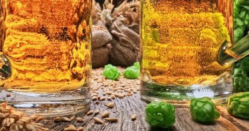 Lúpulo verde e malte. Ingredientes para cerveja caseira.