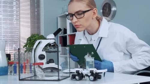 Scientist Studying Hamster in the Lab